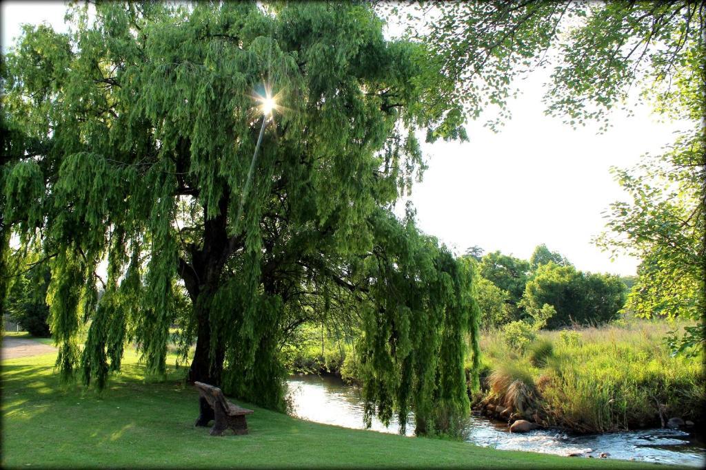 Aqua Terra Guest House Lydenburg Luaran gambar